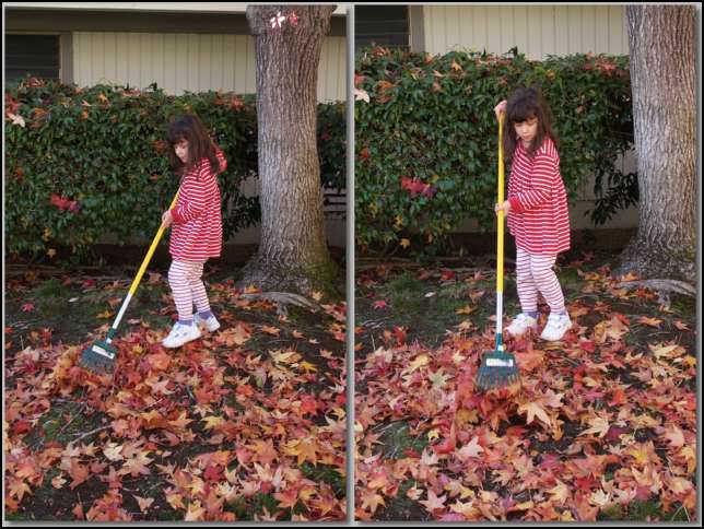 Rake the leaves into a big pile