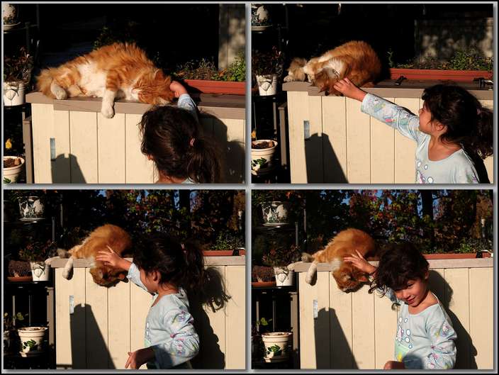 Giving Max some nice affection