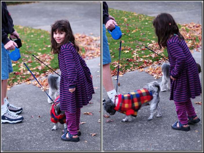 I like petting Daisy