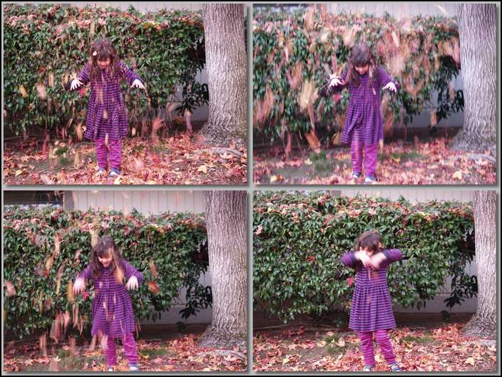 Look at all these leaves!