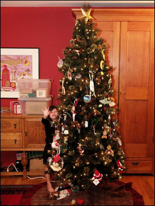 We've decorated a beautiful tree!!!!