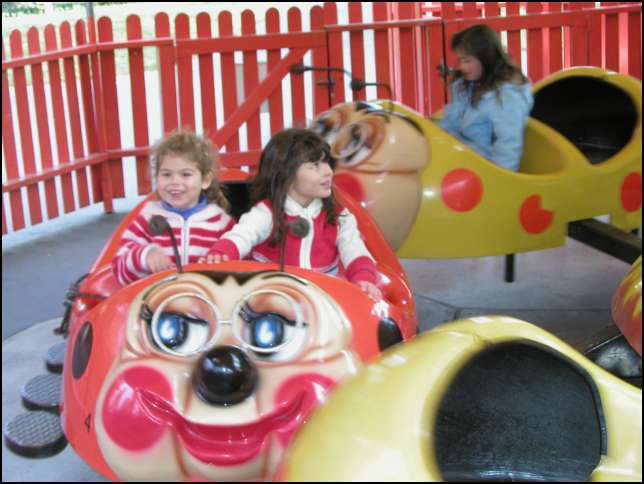 These granny lady bugs are really fun!