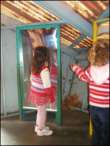 Mirror mirror on the wall .....