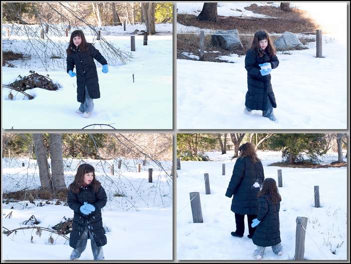 A snowball 