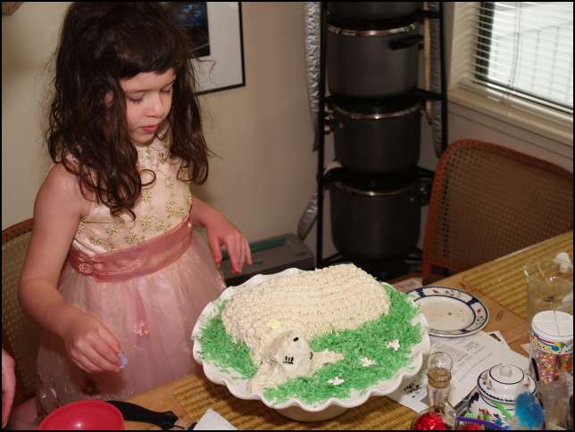 Sydney is decorating the cake