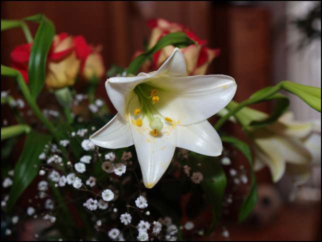 Sirpa brought lovely flowers for our Easter brunch