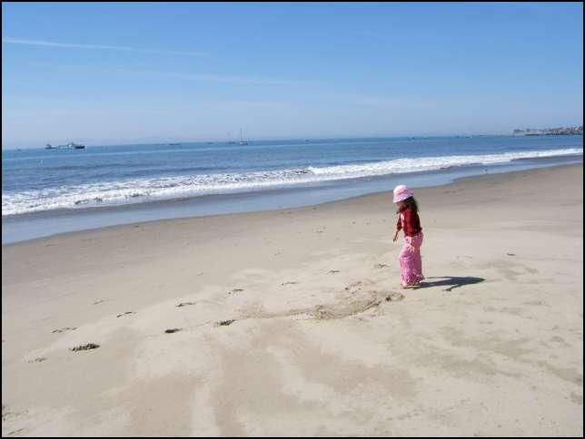 Lets go wade in the water!