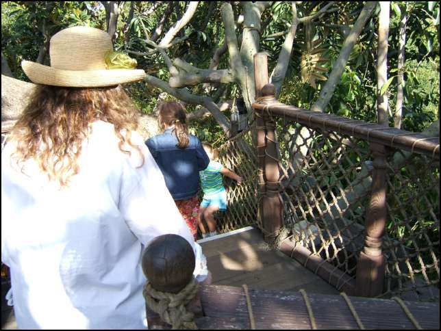 We are high up in the tree house