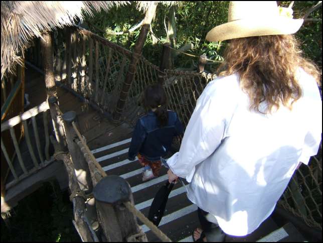 It's a long way down