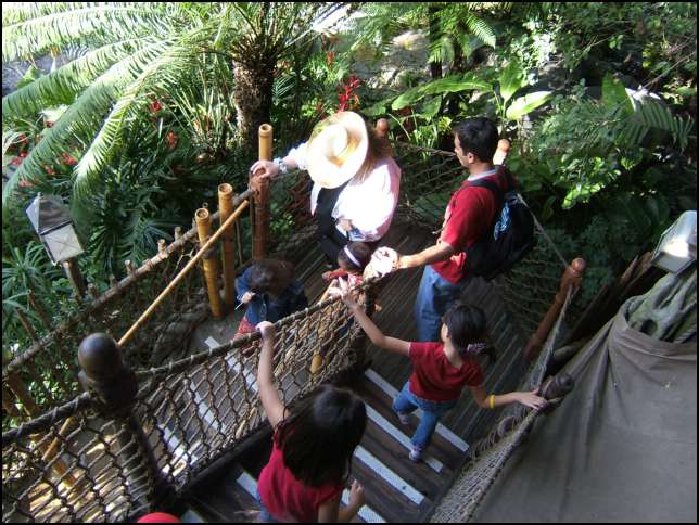 Down and down and .....