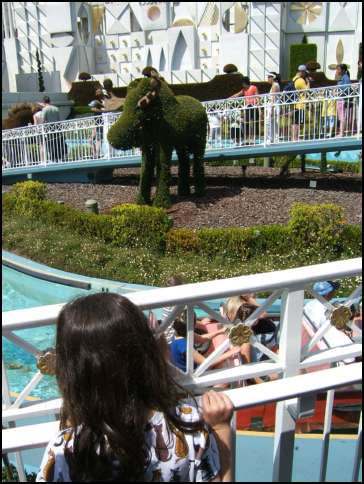 Look at the Toparary animals!