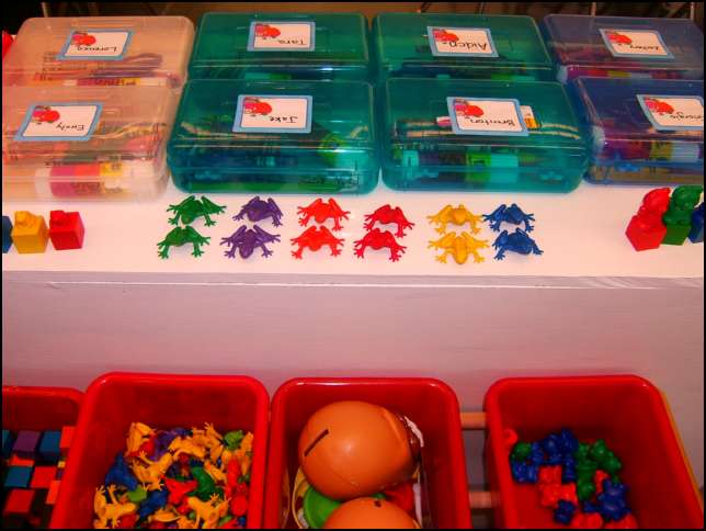 The big lineup of frogs!