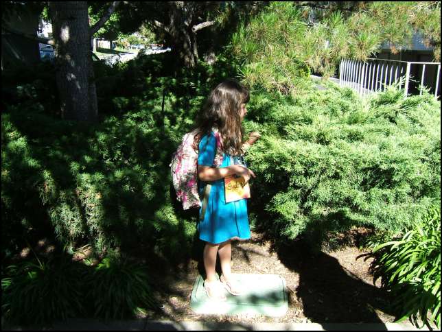 New bus driver misses the turn to Sharon Rd. and skips Stop #5.  Sirpa drives Sydney to school