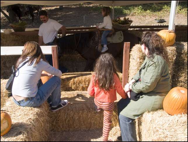 Waiting for a pony ride!