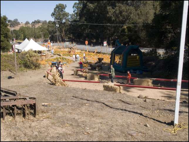 The Webb Ranch Pumpkin Patch is pretty big