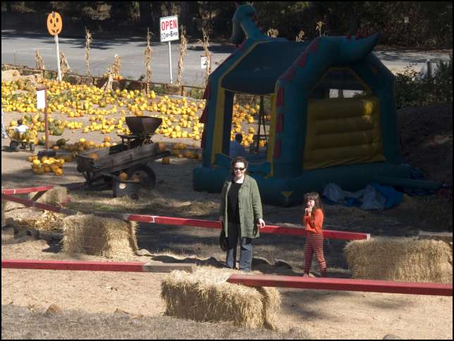 Lots of pumpkins and fun things to do