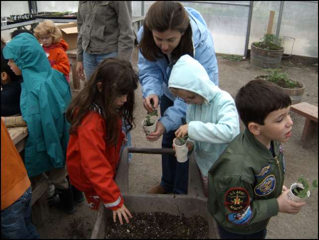 taking our seedling home