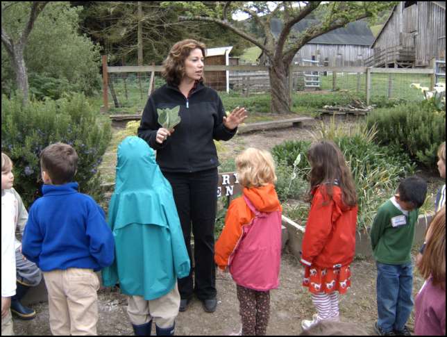 learning about plants feel (and how they taste!)