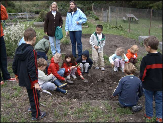 Hunting for worms -- oh boy what fun!!!