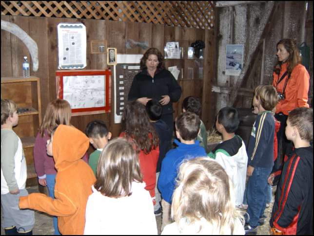 learning about bones