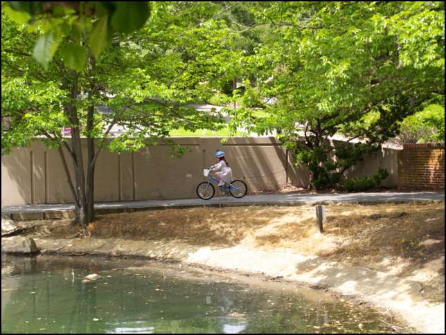 There goes Sydney around the pond