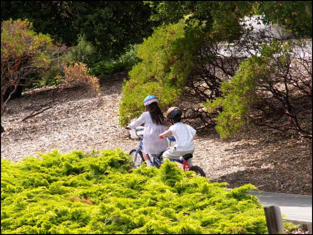 Connor was determined to pass Sydney!