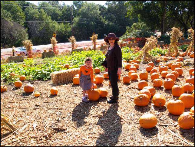 OK, here's the deal -- you have to carry the pumpkin to the cart to buy it!