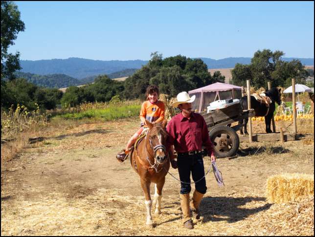 This is a nice pony!