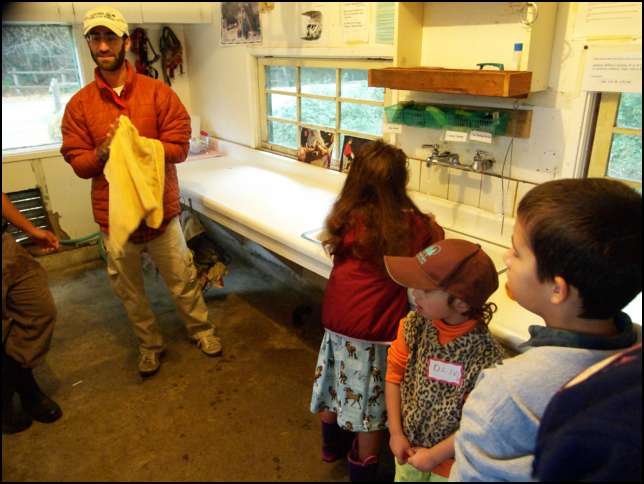 First thing is to wash your hands