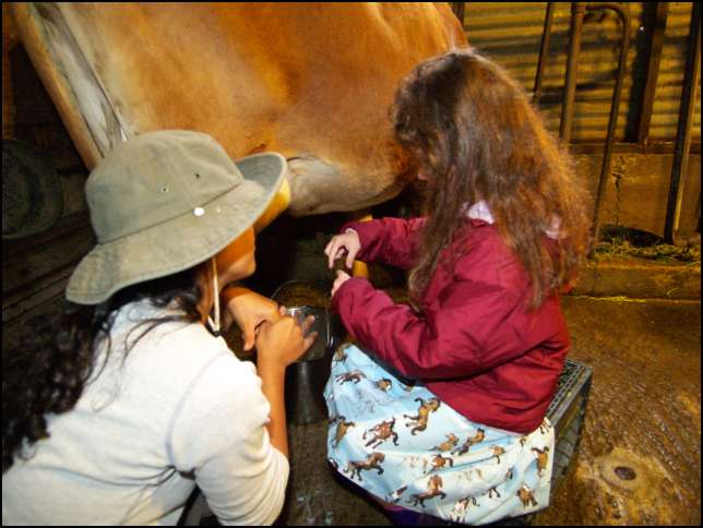 OK, this is how you do it