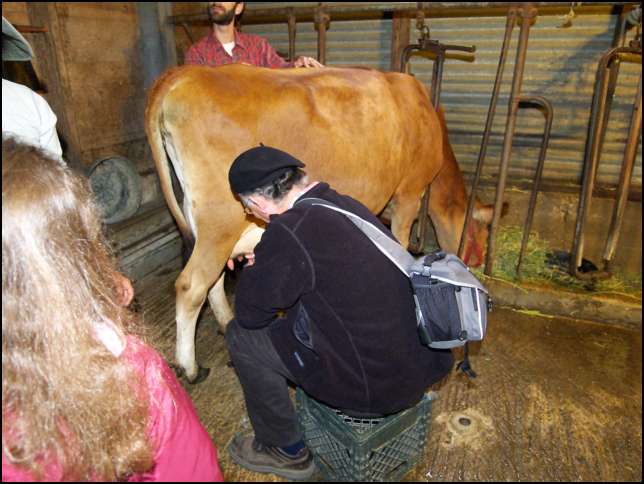 Jay gives it a go.....